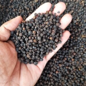 Black Pepper