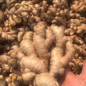 Fresh Ginger