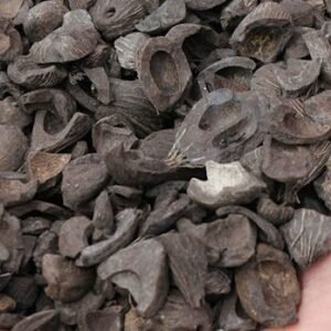 Palm Kernel Shell (PKS)