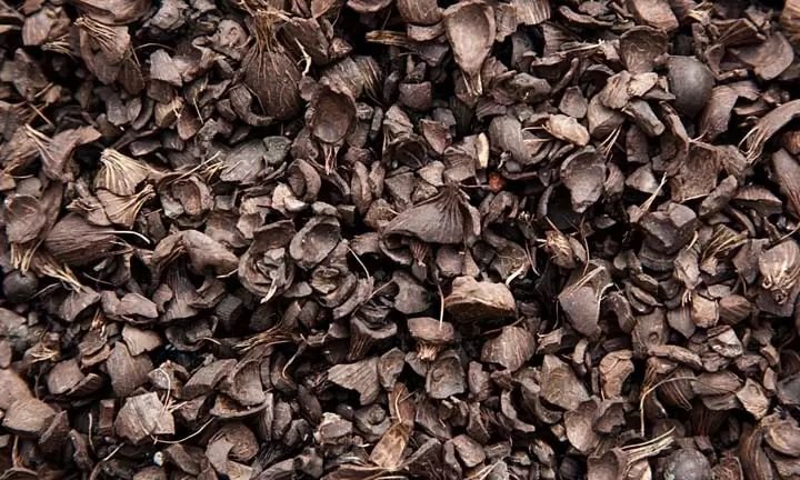 Palm Kernel Shell (PKS) - Image 2